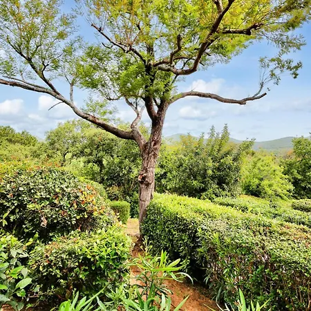 Villa Les Maisons Aux Restanques Du Golfe De St Tropez - Maeva - Maison Duplex 4 Pièces Avec Terrasse Vue Végétation 8 Personnes - Prestige Mae-2842 Grimaud